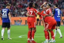 regionalliga nordost