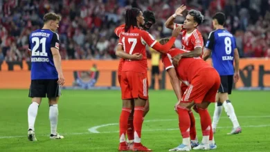 regionalliga nordost